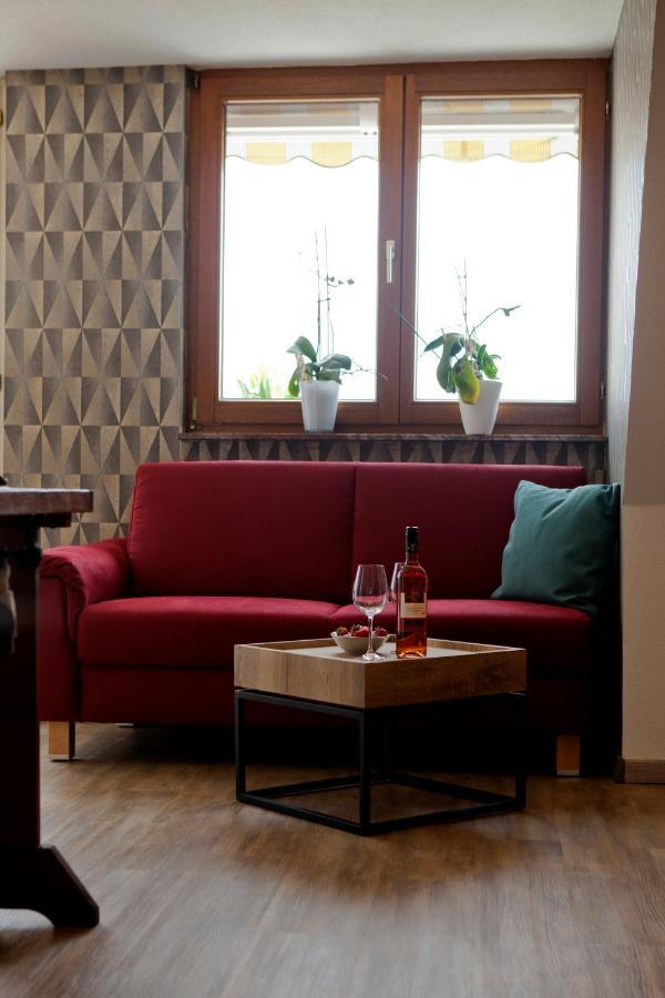 Haus Weinbergblick Apartment Haigerloch